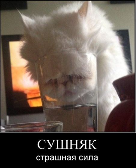Алкопост 28.01.22