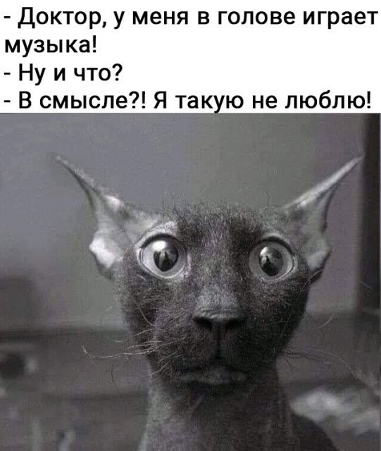 Картинки и буквы 11.03.22
