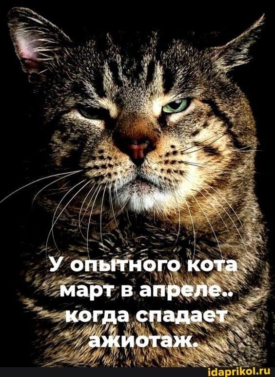 Немного картинок разной степени новизны и адекватности - 14