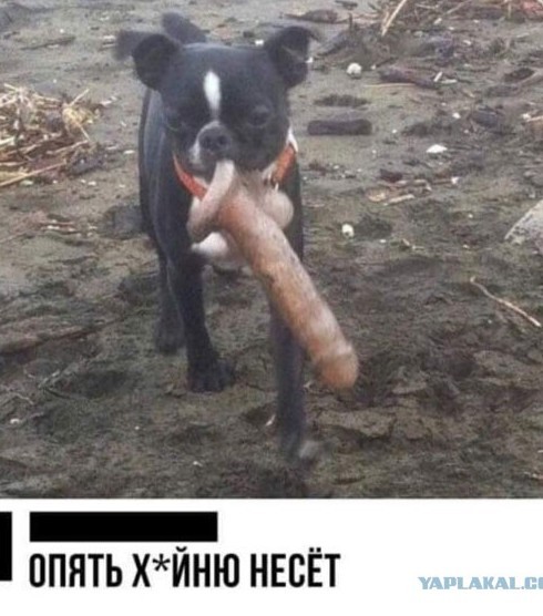 Путин назвал унизительной зависимость от иностранных технологий