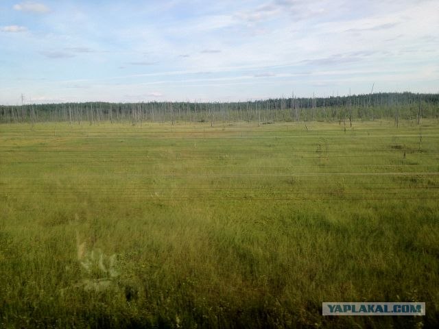 Москва-Воркута.Или туда и обратно.