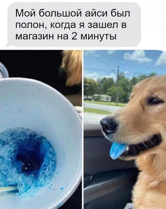 Картинки и мемы для настроения - 17
