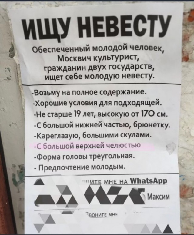 Отвлечься от дичи в жизни. Дичь в картинках