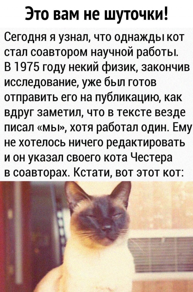 Картинки и мемы. Выходные близко...