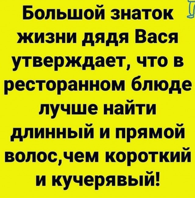 Весёлый полтишок 26.12.2022