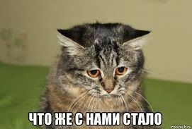 В Москве проститутка попыталась налюбить клиента, но всё обернулось против неё
