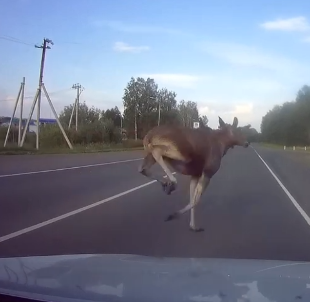 Дтп, которого я не помню...