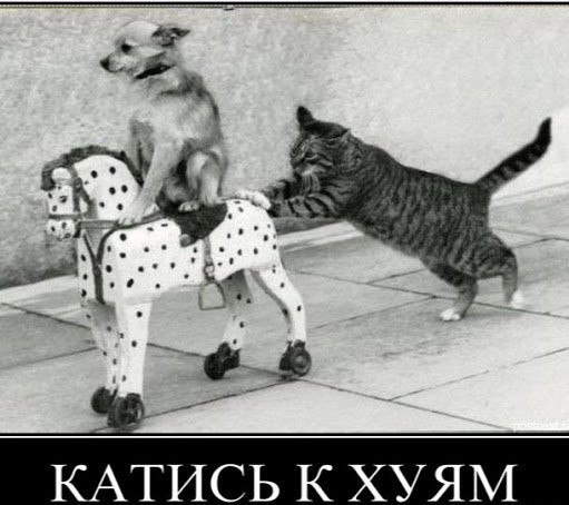 Сельмаг вроде близко
