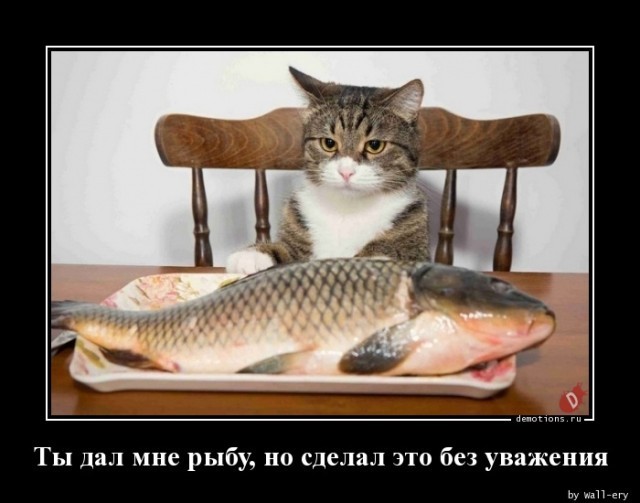 Картинки разные с надписями и без