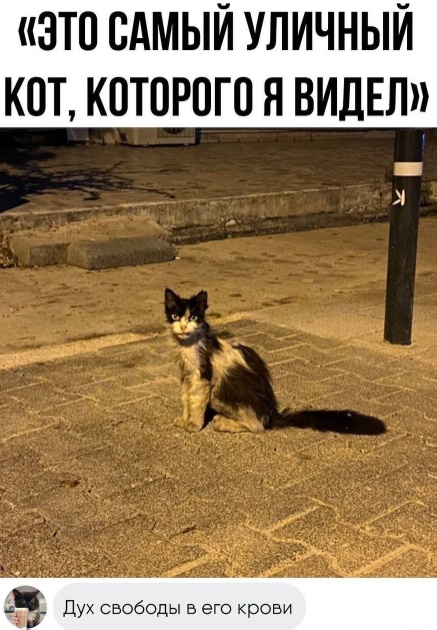 Всего понемногу. От 02.08.24