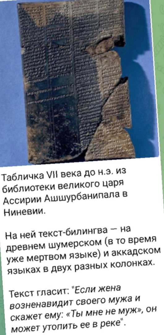 Так себе картинки 10.12.24