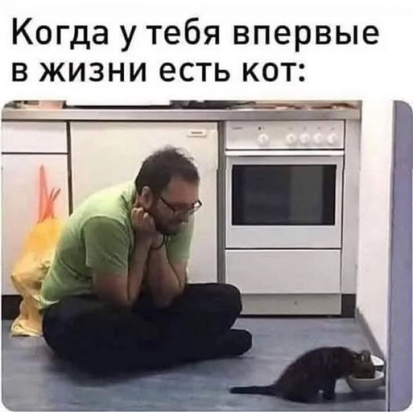 Веселые картинки в пятницу (24.01)