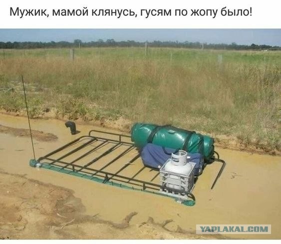 Девчонки подождите