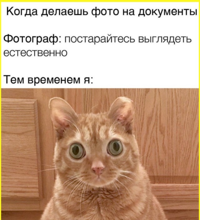 Когда фотографируешься на паспорт