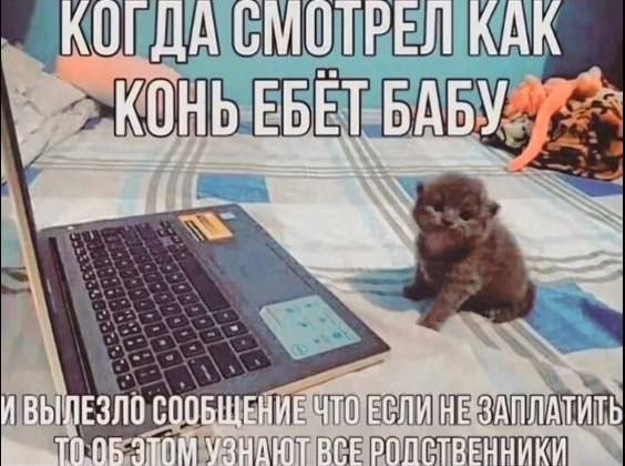 Завалялось тут случайно немного забавных картинок