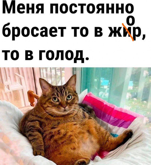 Подборка мемчиков за пол дня