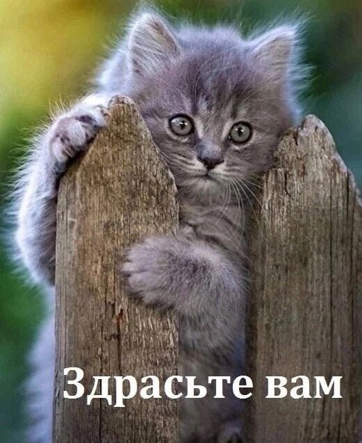 Прикольные и просто красивые картинки 12.08.2025