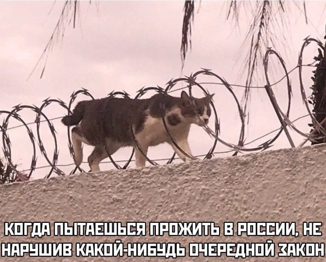 «За деньги да»: что показал эксперимент ФСБ в Свердловской области