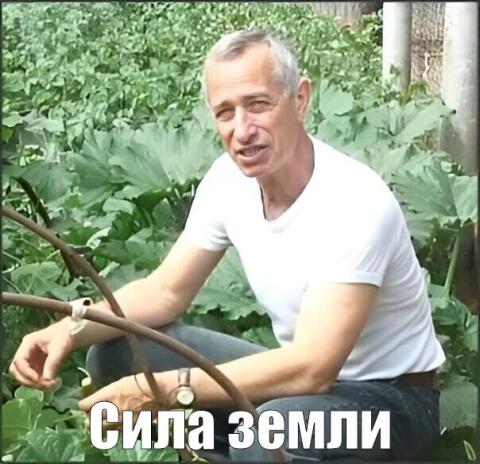 А как у вас цены на огурцы ?