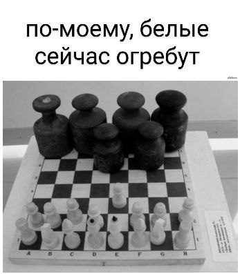 Картинки для деградации 169 (разной степени свежести)
