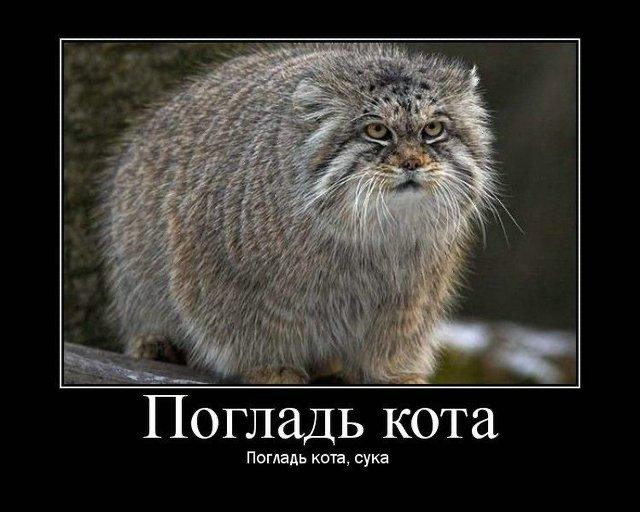 Сегодня Мeждунapoдный дeнь мaнулa