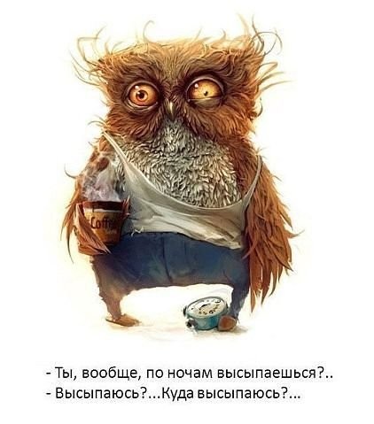 Город Сочи высыпается