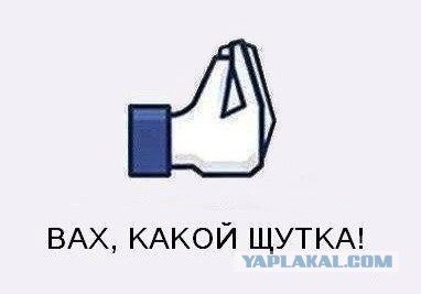 Набравшие 200 баллов на ЕГЭ смогут получить красивые мобильные номера