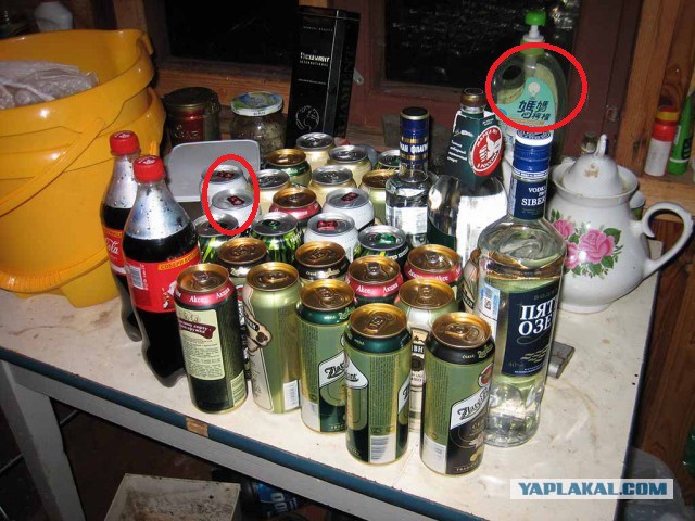 Хобби живёт вопреки.