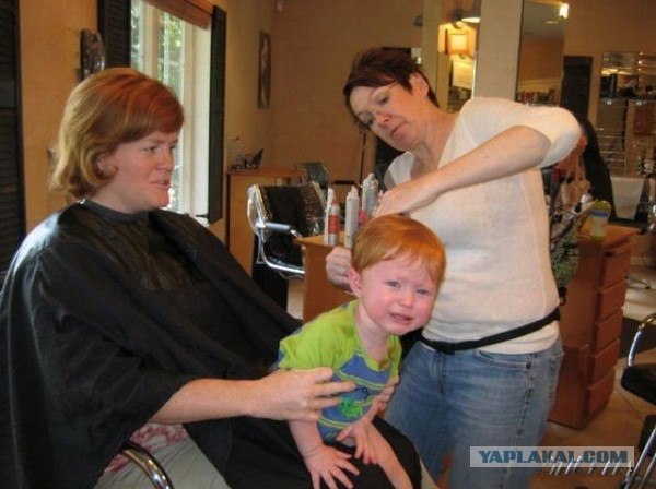 Первая стрижка