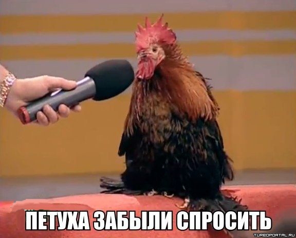 Референдум на Юго-Востоке
