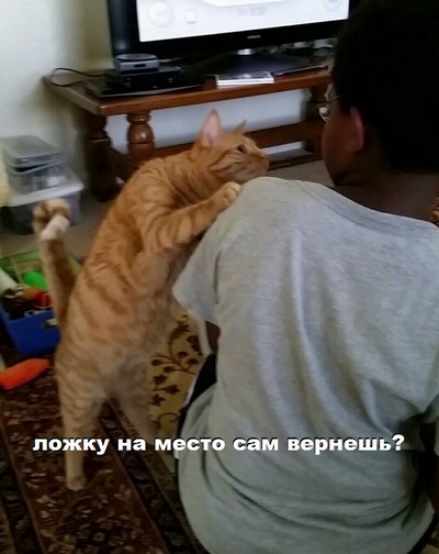 Расизм?