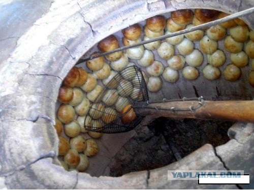 Настоящие бухарские лепешки