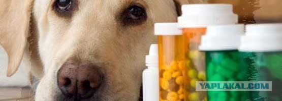 Хочу все знать...