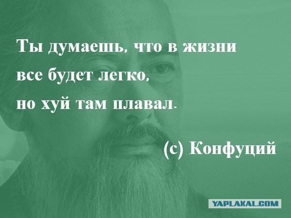 Подборка картинок