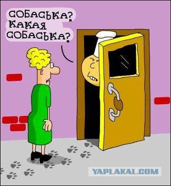 Чёрный юмор