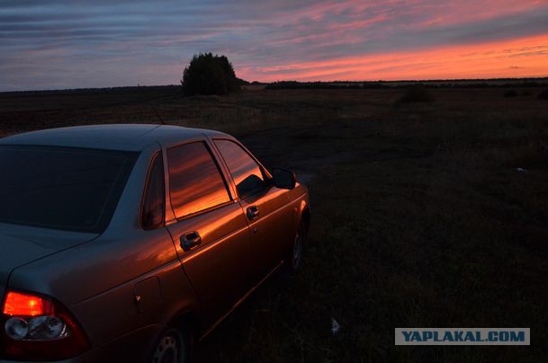 15 любительских фотографий