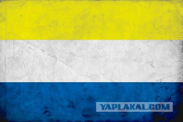 Новый прибыльный бизнес на Украине