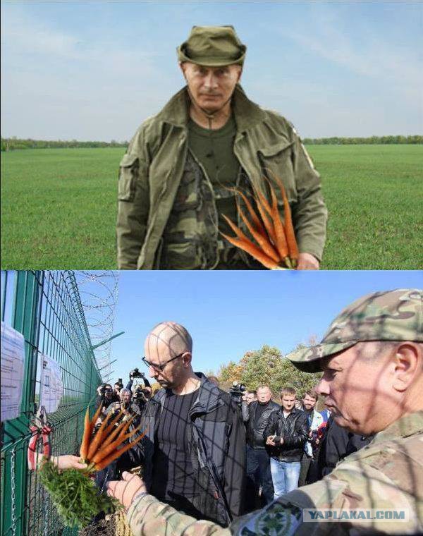 Яйцеюх, кусачки, евроизгородь