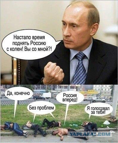 Свежие картинки из сети