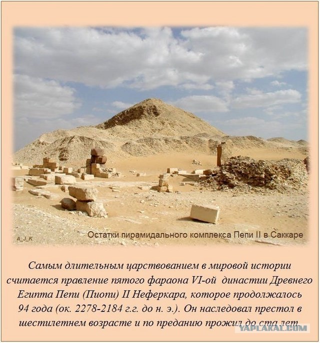 20 фактов обо всем
