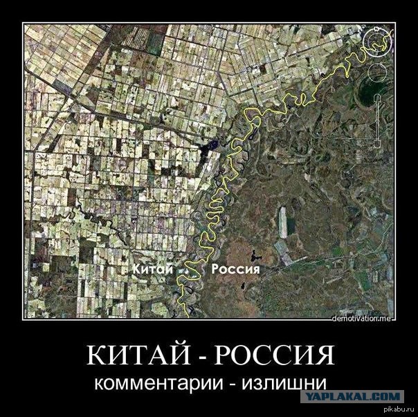 9 картинок из параллельной вселенной