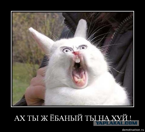 50 оттенков розового...
