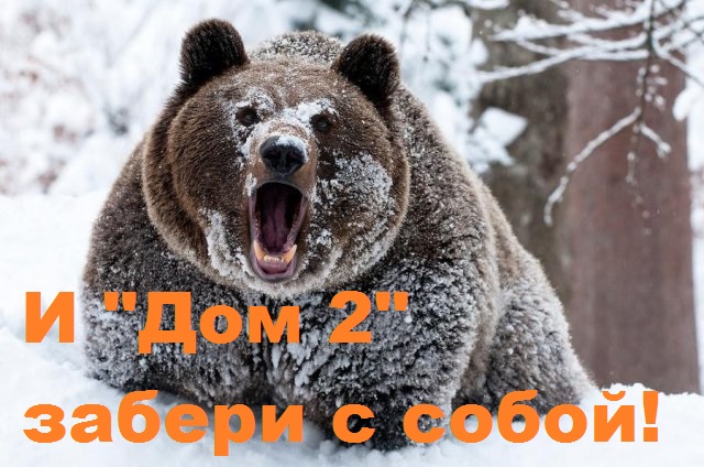 Ксения Собчак сбежала из России