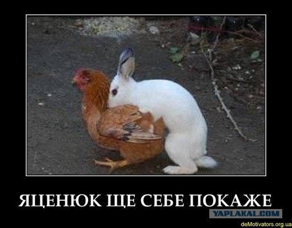 Премьер знает историю, однако))