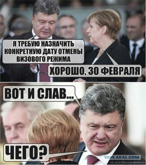 Солянка политическая #8