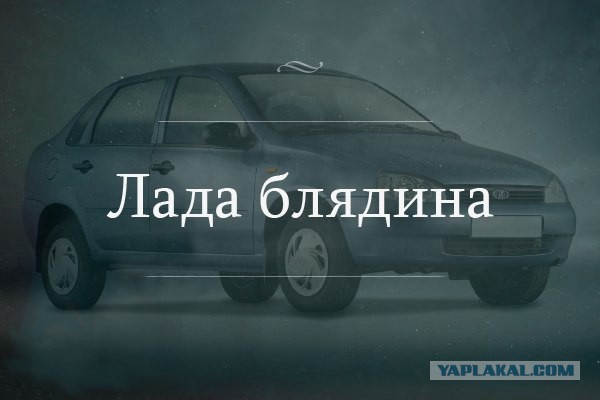 Просто картинки