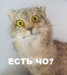 Мемы вспоминаем и добавляем....