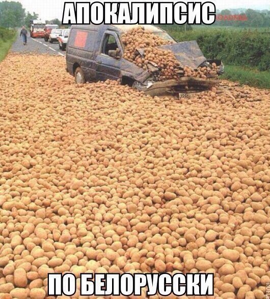 Подборка прикольных фото на пятницу