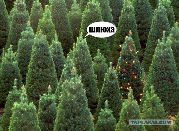 Картинки на утро вторника