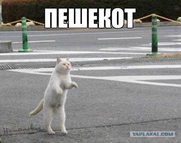 Абсурдный юмор ч.7